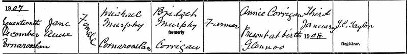 File:Jane Anne Murphy-Birth Record.png